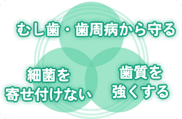 むし歯・歯周病からまもる　細菌を寄せ付けない　歯質を強くする